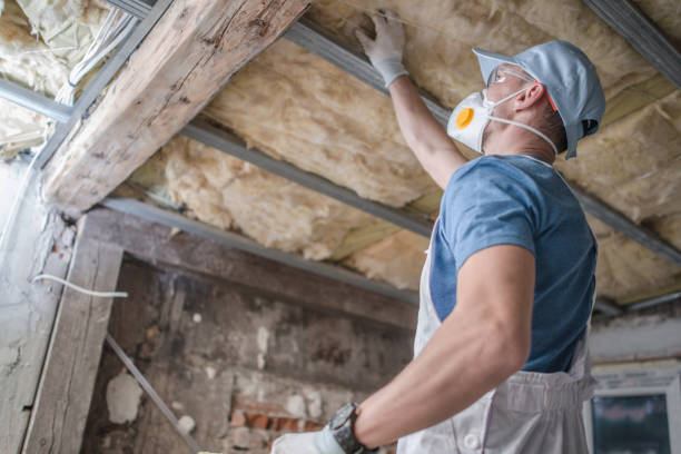 Best DIY Insulation Kits and Guidance in Notre Dame, IN